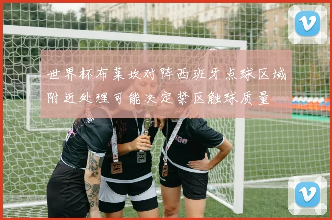 世界杯布莱坎对阵西班牙点球区域附近处理可能决定禁区触球质量