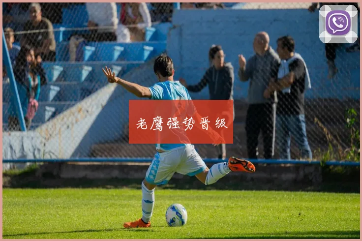 老鹰强势晋级