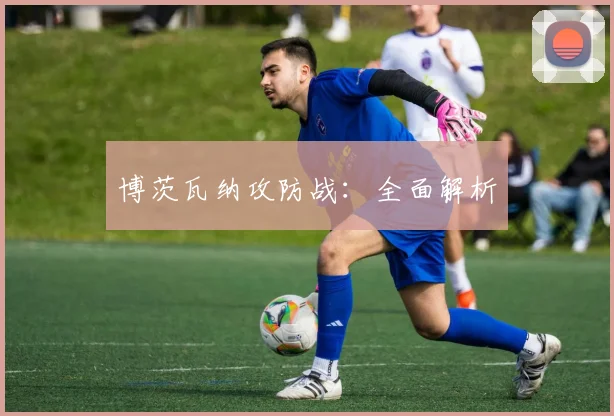 博茨瓦纳攻防战：全面解析