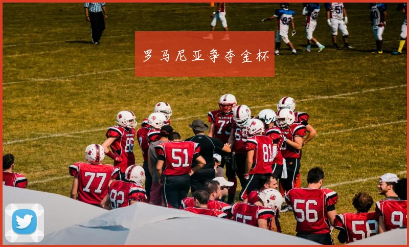 罗马尼亚争夺金杯