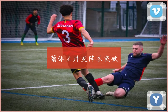 葡体主帅变阵求突破