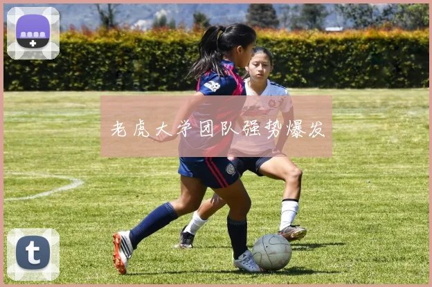 老虎大学团队强势爆发