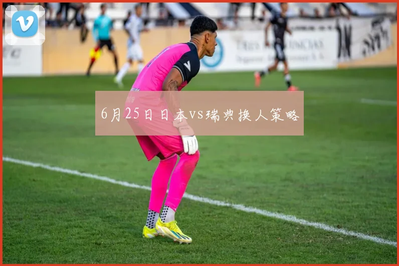 6月25日日本vs瑞典换人策略