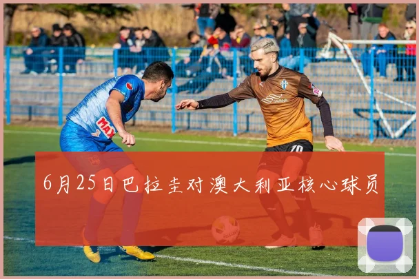 6月25日巴拉圭对澳大利亚核心球员