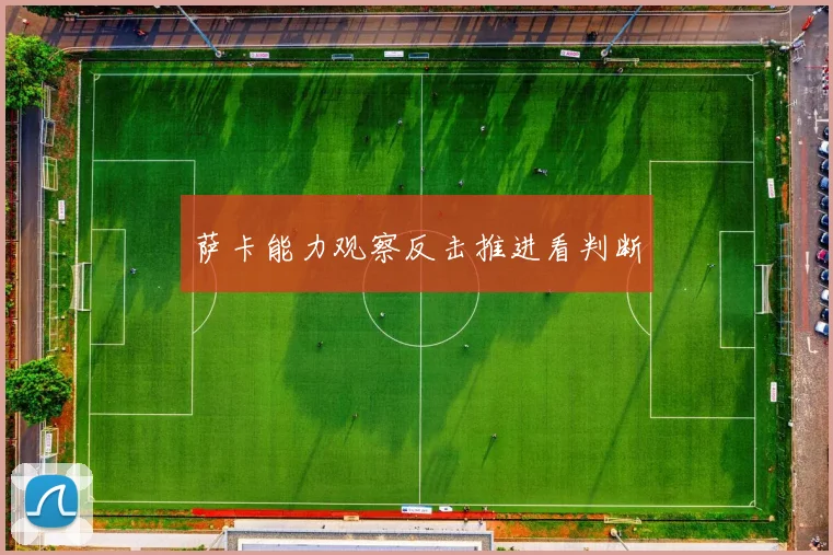 萨卡能力观察反击推进看判断