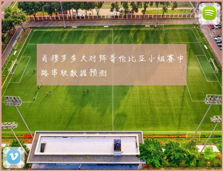 肖穆罗多夫对阵哥伦比亚小组赛中路串联数据预测