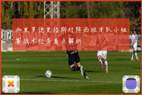 加里罗德里格斯对阵西班牙队小组赛战术任务看点解析