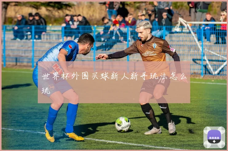 世界杯外围买球新人新手玩法怎么玩