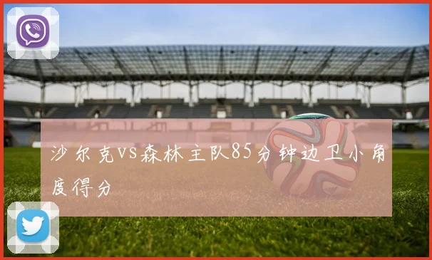 沙尔克vs森林主队85分钟边卫小角度得分