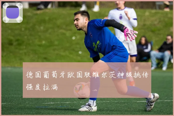 德国葡萄牙欧国联维尔茨神级挑传强度拉满
